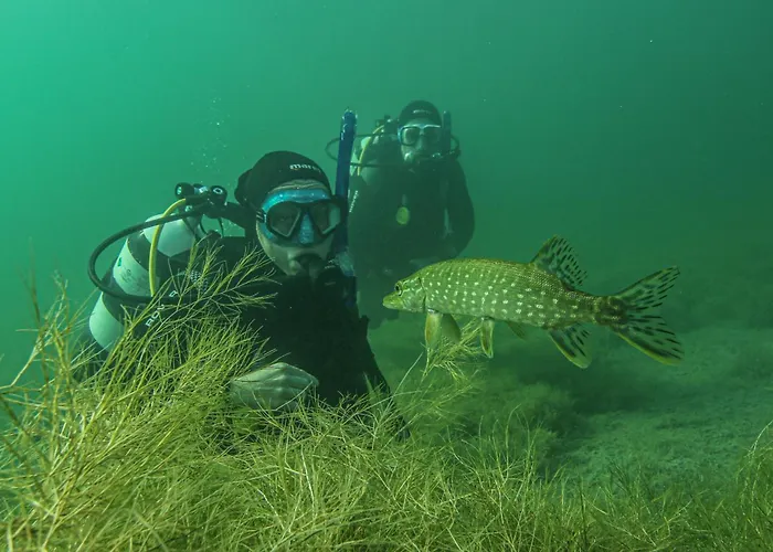 All-on-sea Camp & Sport Leipzig Am Schladitzer